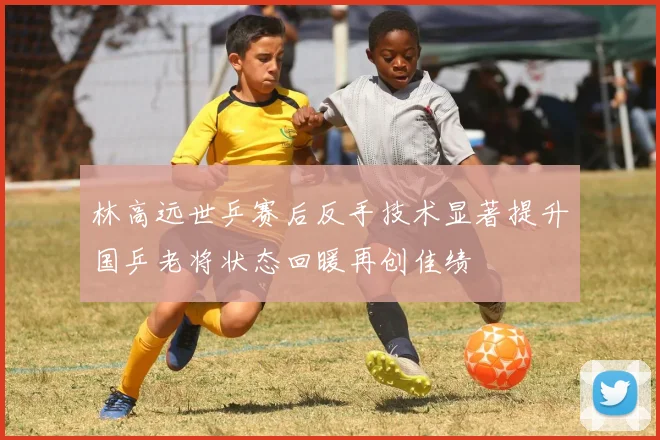 林高远世乒赛后反手技术显著提升国乒老将状态回暖再创佳绩