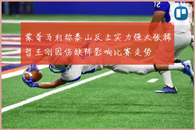 蒙哥马利称泰山反击实力强大张稀哲王刚因伤缺阵影响比赛走势